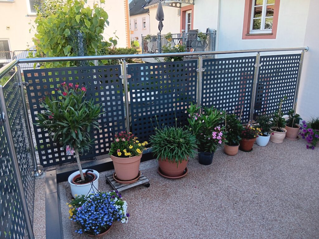 Edelstahl-Geländer mit Lochblech edelstahl von oben alu anthrazit lochblech (14)